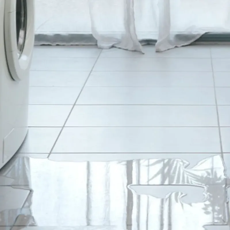 Appliance Leak Cleanup in Niceville, FL